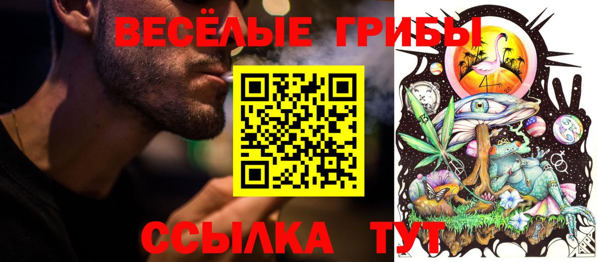 Советск  Галлюциногенные грибы ЛСД  Вход с VPN 